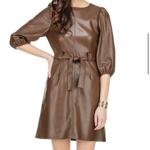 Jade Chocolate Brown, Belted Mini Dress